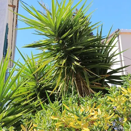 Apartment With Wifi - 7588 *